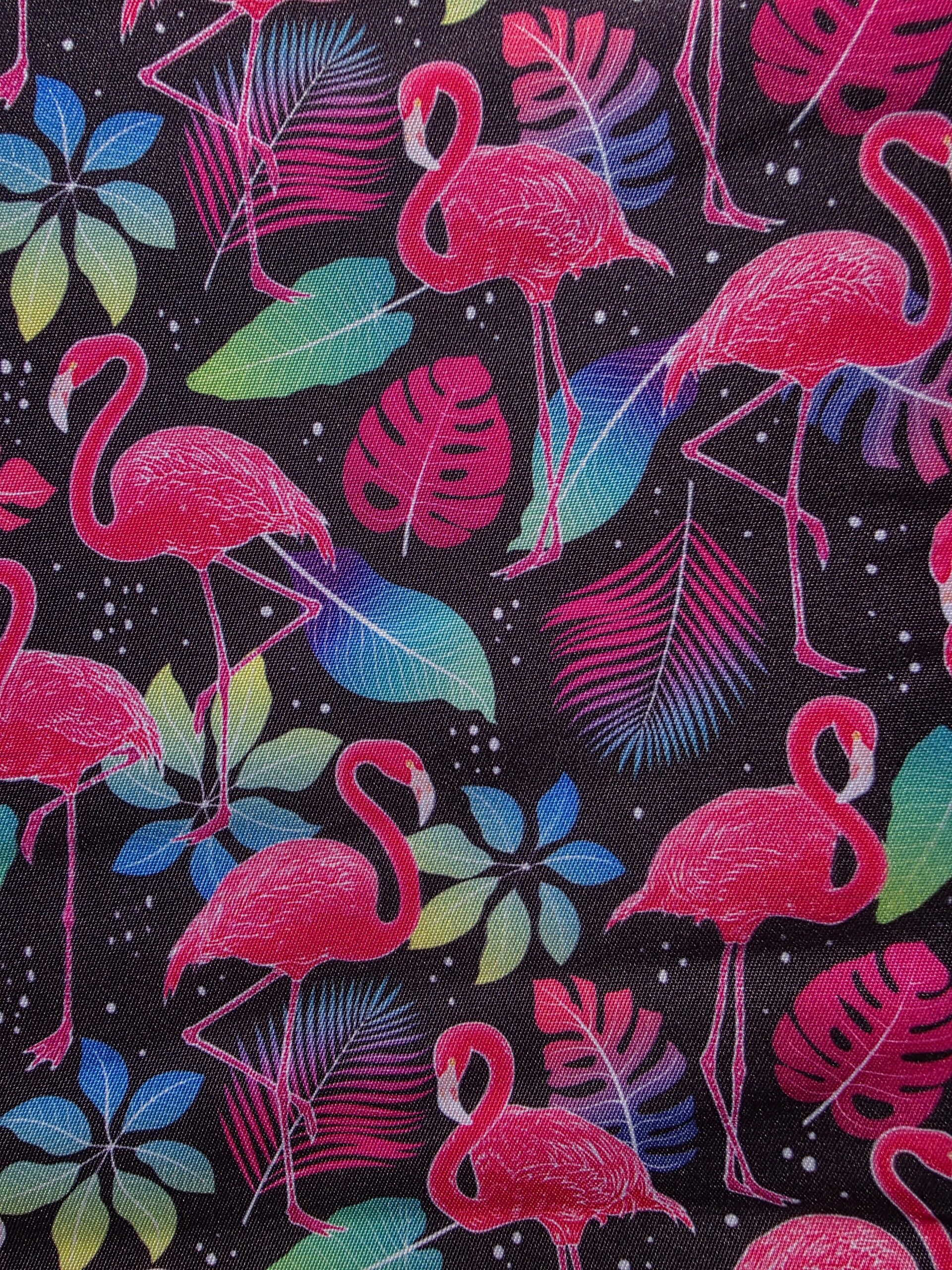 Flamants Roses