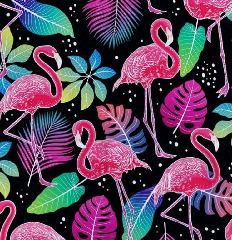 Flamants Roses