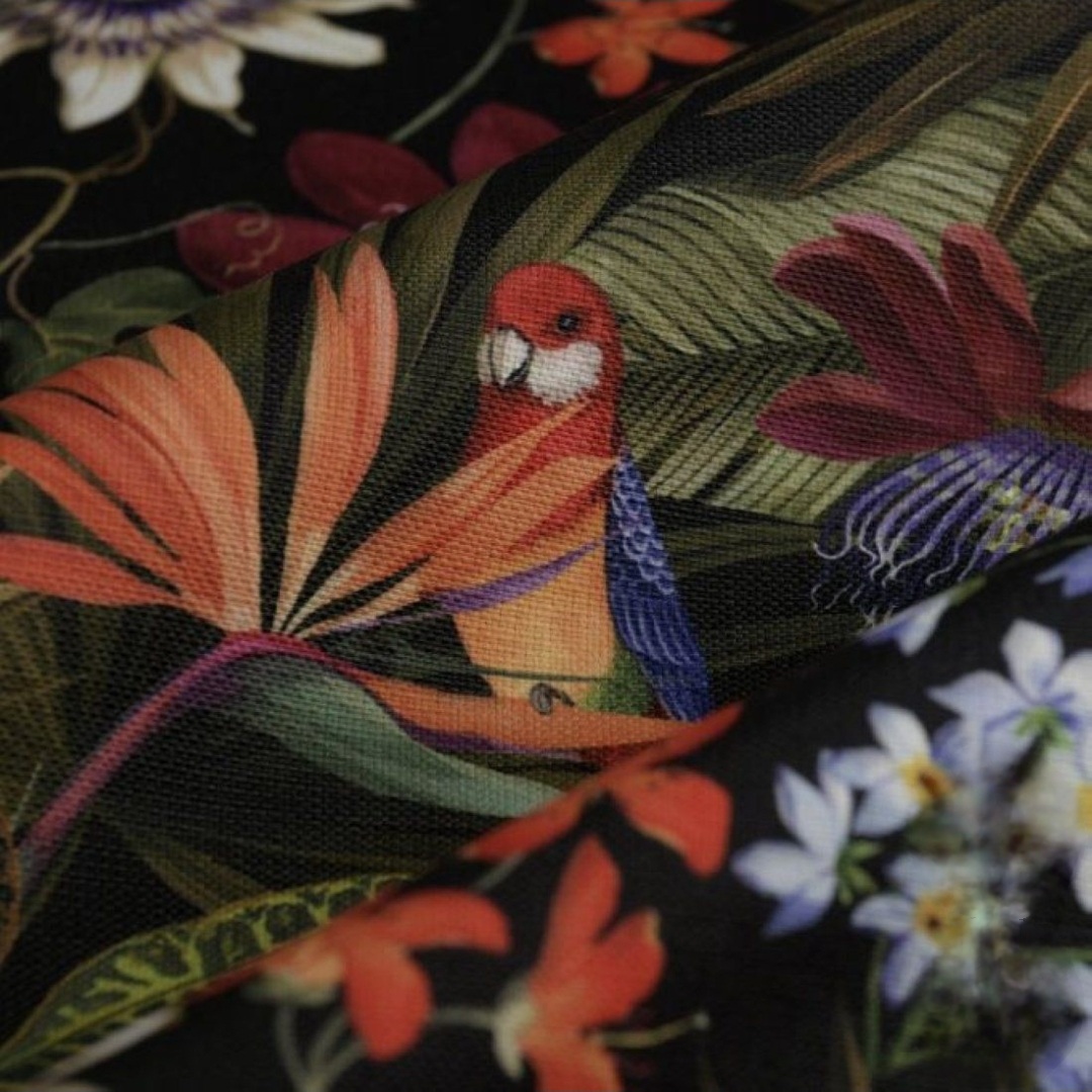 Perroquet Tropical - Prémium