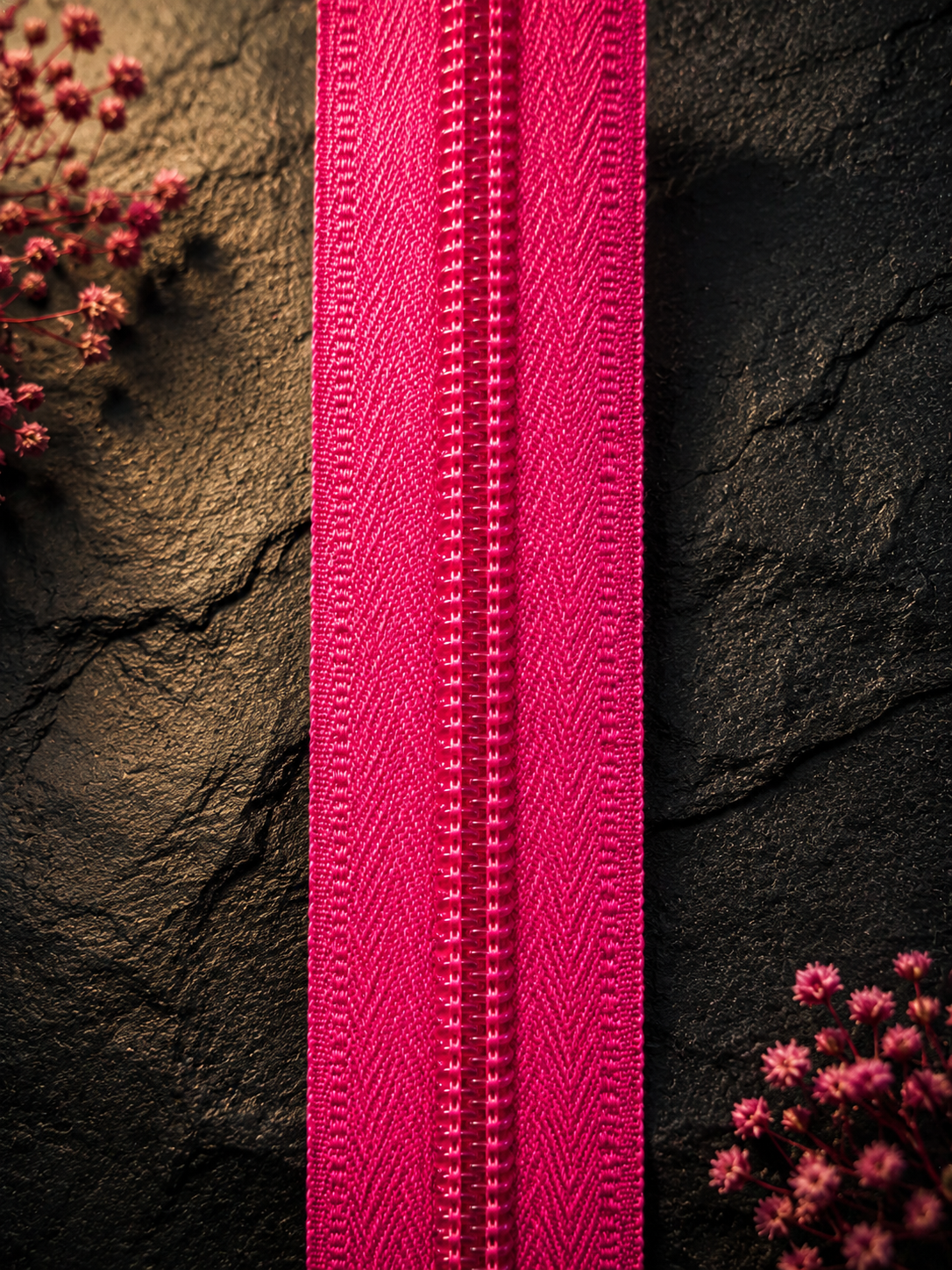 Fuchsia